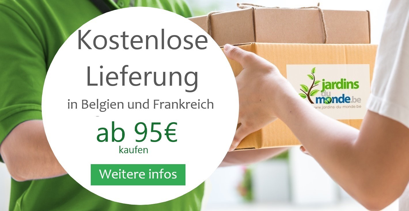 Lieferung